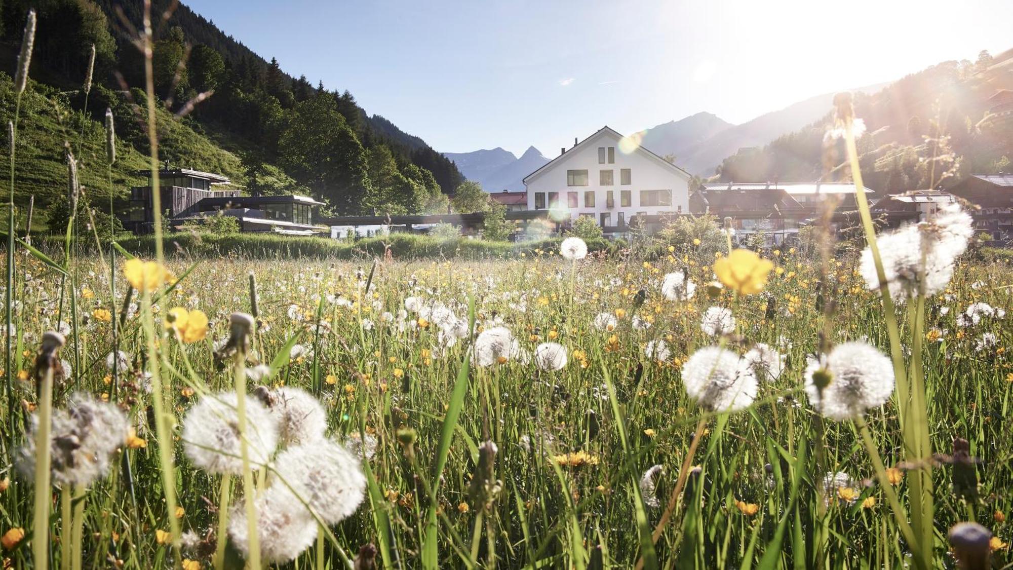 Wiesergut Saalbach-Hinterglemm Dış mekan fotoğraf